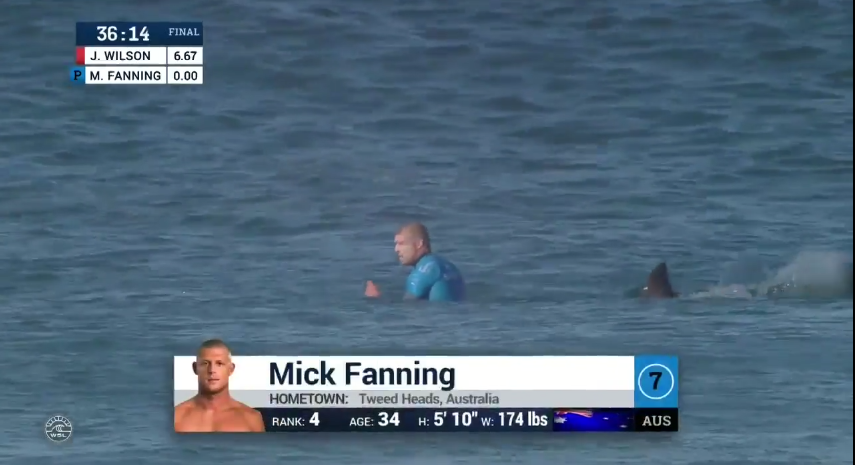 Mick Fanning attaqué par un requin