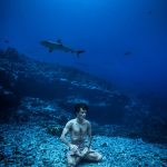 Nuit de la glisse 2019 festivals 40 ans